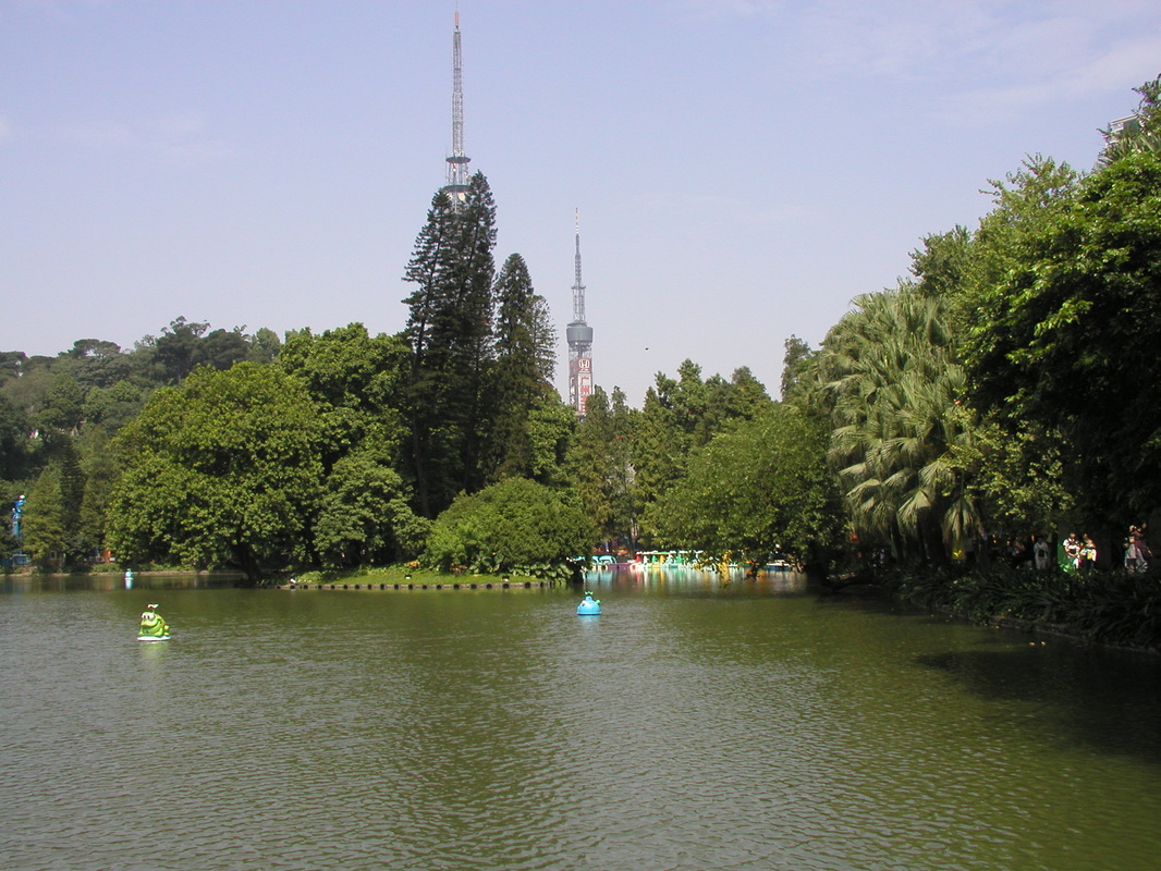 Picture
